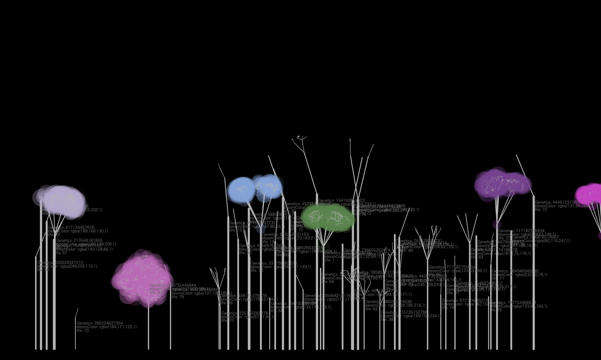 The Trees Wwwn Laboratory